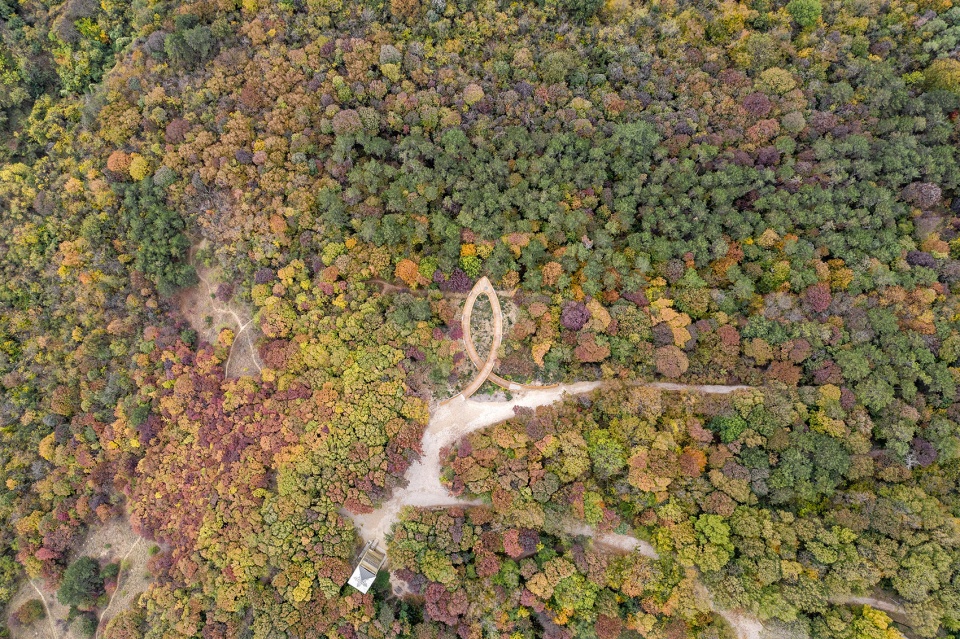 foliage educational lookout and trail by okka studio