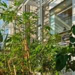 麦克马斯特大学生命科学楼与温室，加拿大 / Moriyama Teshima Architects