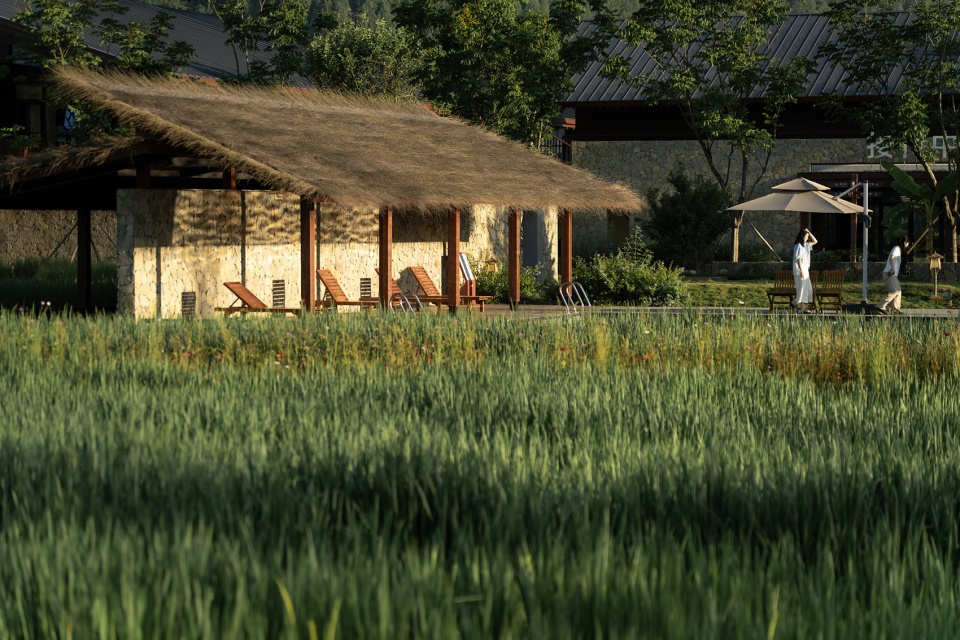 the baoluan paddy field homestay by yueji architectural design