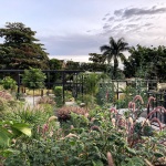 Park in the Prado Neighborhood by Arch. Edgar Mazo