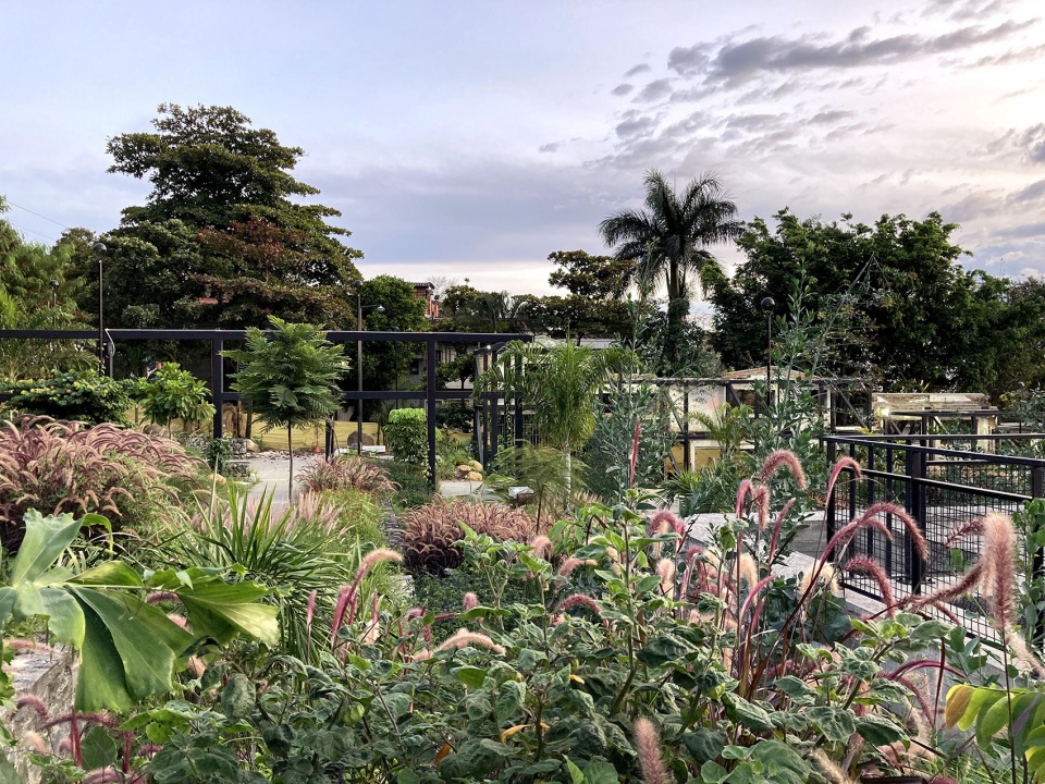 Park in the Prado Neighborhood