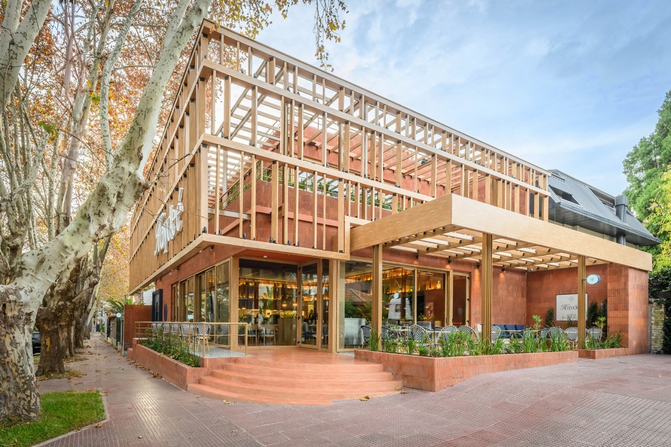 haydee by estudio montevideo