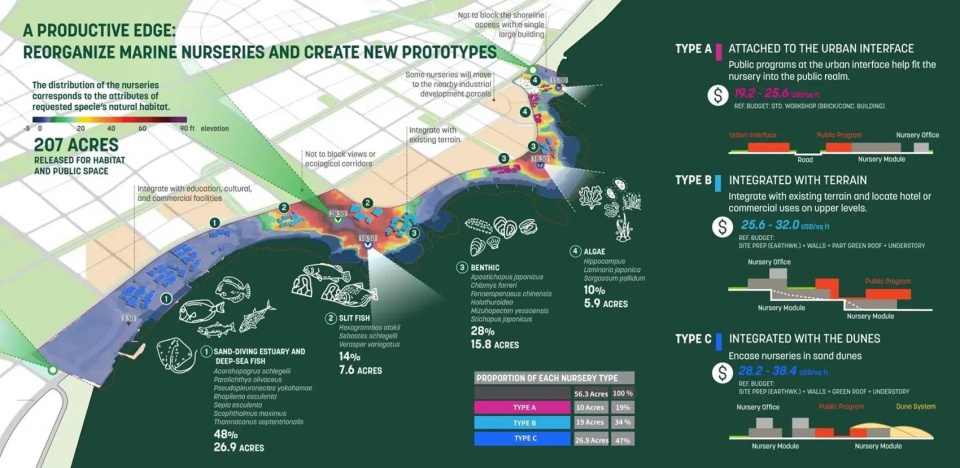 Where Industry Meets the Tide A New Horizon for Huangshi Bay