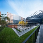 The Administrative Complex of Beijing Daxing International Airport by China Electronics Engineering Design Institute Co., Ltd WZJ Studio + Organically-Permeated Design Research Center