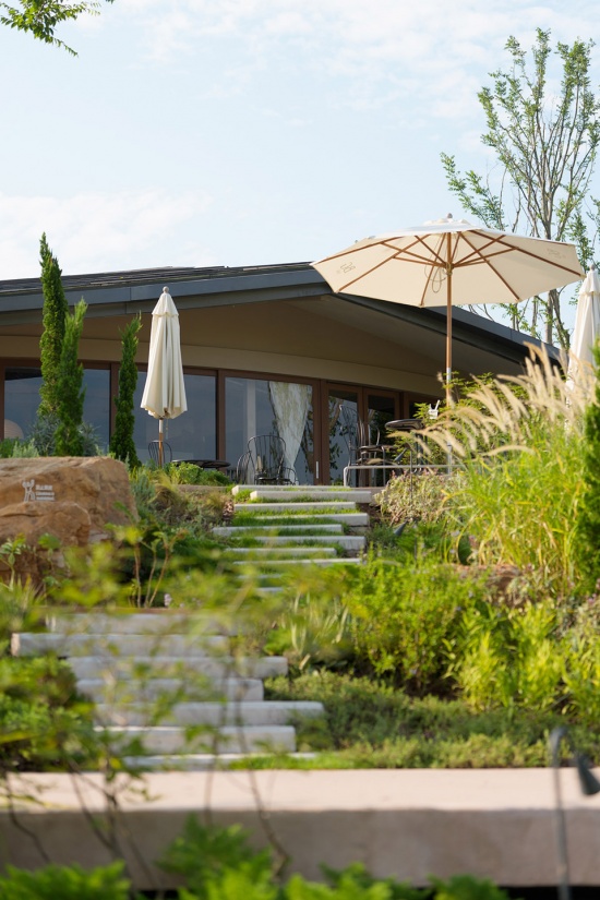 beast garden cafe by why would