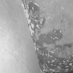 PRESENCE展览，韩国 / SIMONE BOSSI X COOR