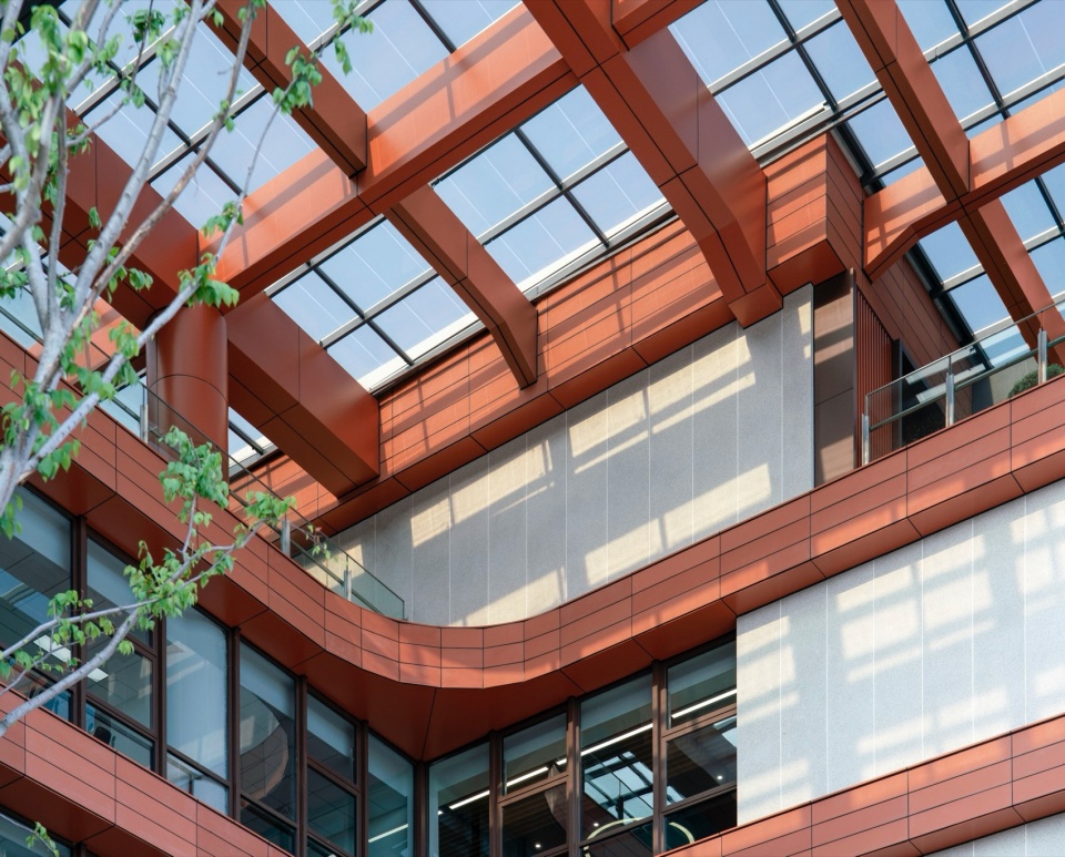 A Campus Lifted in Density Shanghai Xuhui Yuannan Middle School
