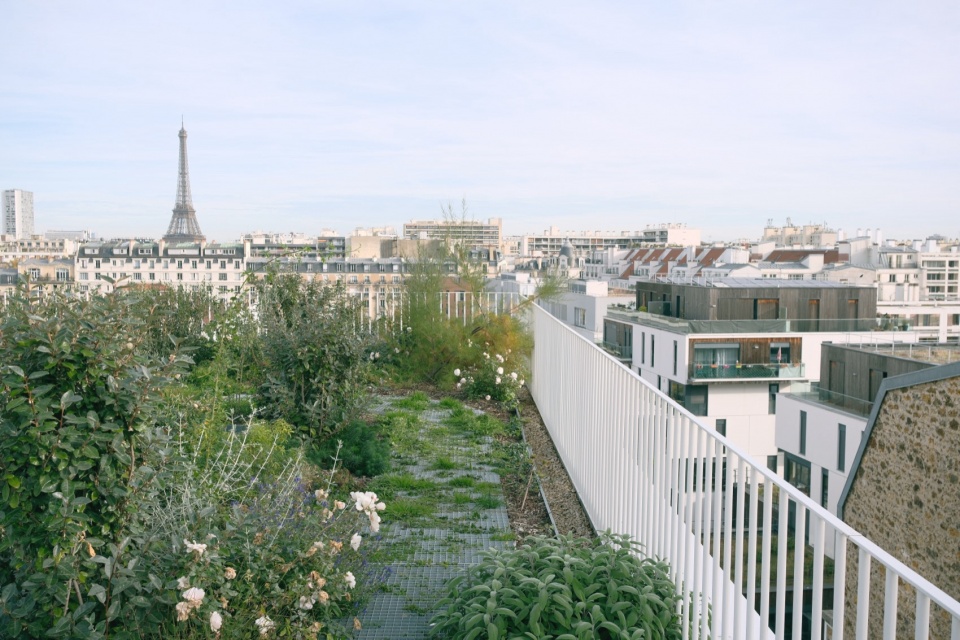Lourmel Student Housing Mars architecte