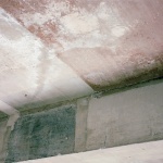 PRESENCE展览，韩国 / SIMONE BOSSI X COOR