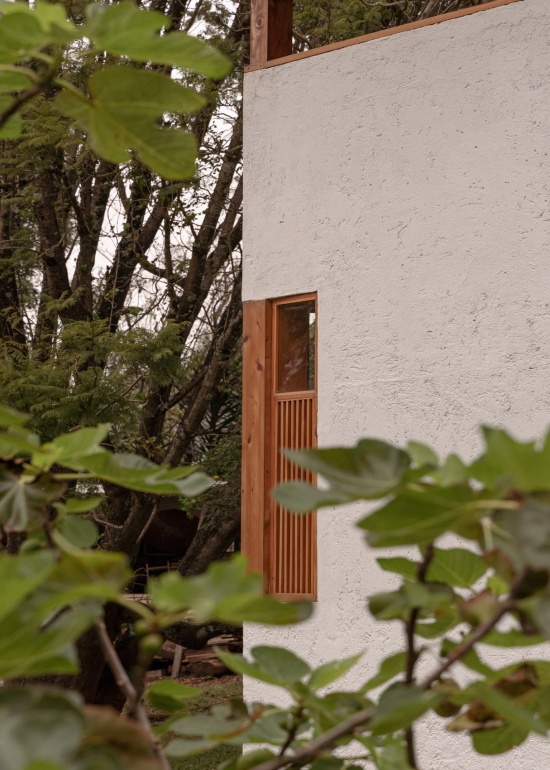 掩映于绿植之间的墙面与木窗,wall and timber window framed by greenery