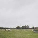 The Old Byre by Gianni Botsford Architects