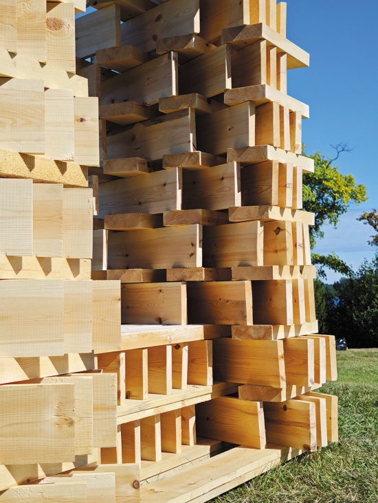 The Lens by Evgeny Makarenko Timber Architecture Workshop