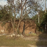 Estelí住宅，墨西哥 / COLAR Colectivo de Arquitectura