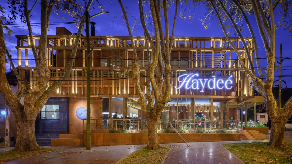 haydee by estudio montevideo