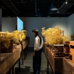 直向建造——直向建筑十八年实践首次个展