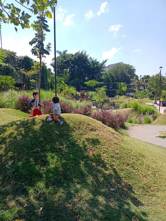 Park in the Prado Neighborhood