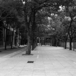 Spatial Regeneration: Yucai No.2 Primary School Renovation by NODE Architecture & Urbanism