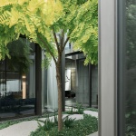 阿德莱德街住宅，澳大利亚 / Robert Simeoni Architects