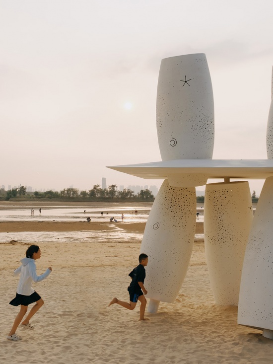 among the corals a seaside swing installation