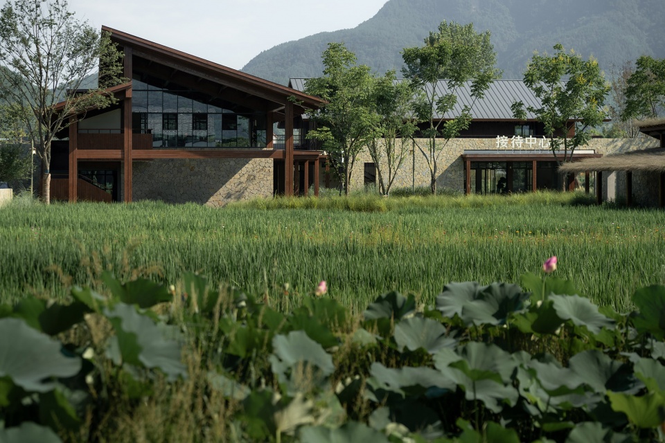the baoluan paddy field homestay by yueji architectural design