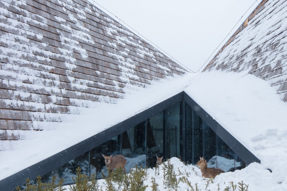 changbai foothill antler restaurant by origin architect