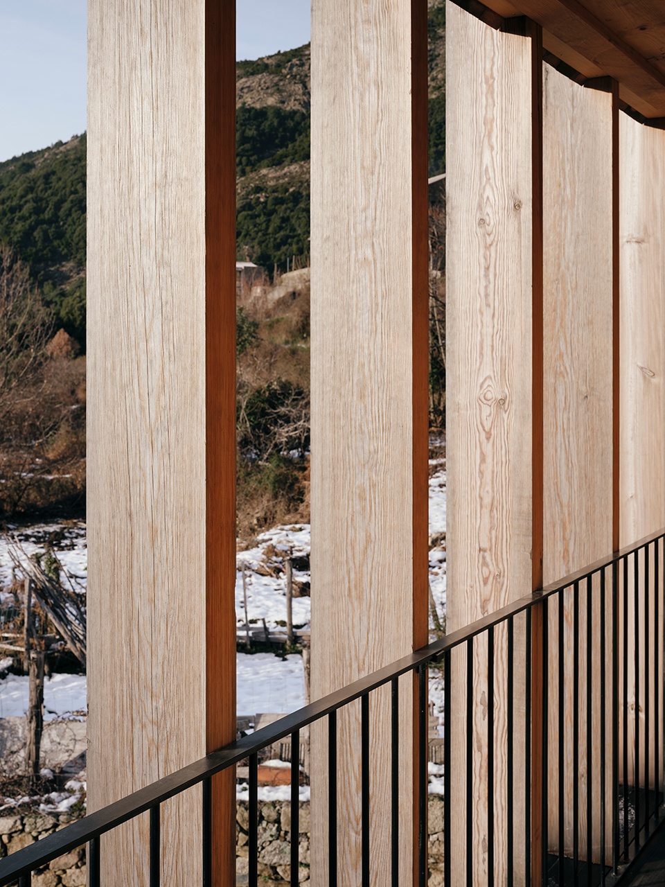 Corsican pine housing