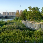 江阴锡澄运河公园——对景公园，江苏 / Brearley Architects + Urbanists (BAU)