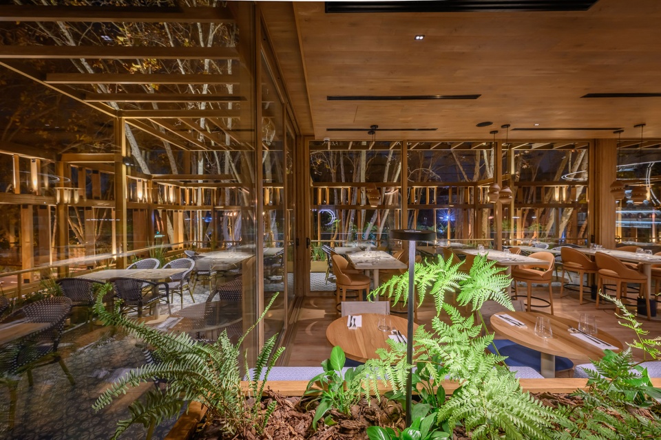 haydee by estudio montevideo