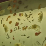 恒春元，上海 / ARCHWASTE