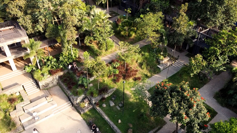 Park in the Prado Neighborhood