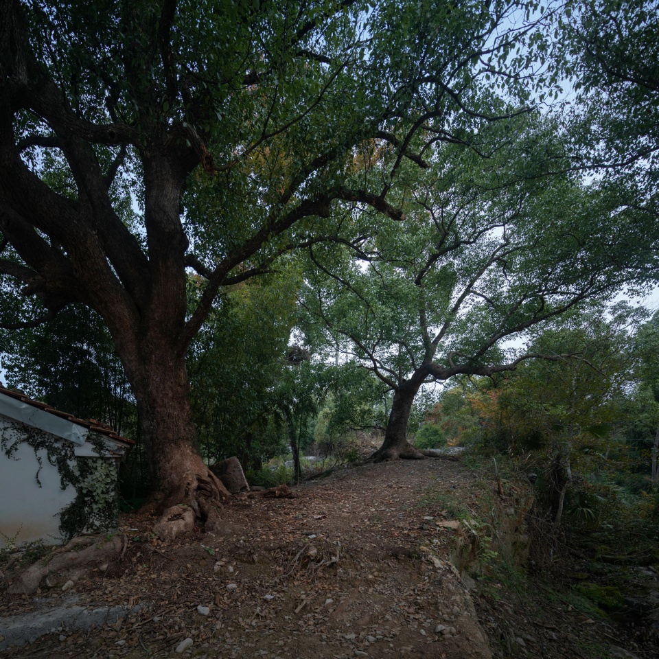 rural revitalization in xianjing village by hsu du architects