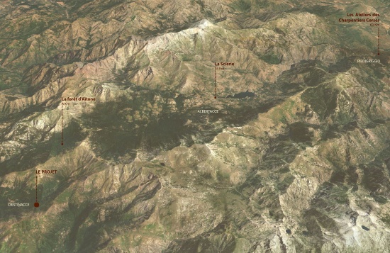 Corsican pine housing