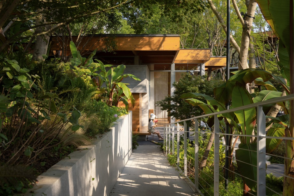 cornori landscape design by zd