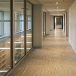 IXCAMPUS园区，法国 / Baumschlager Eberle Architekten
