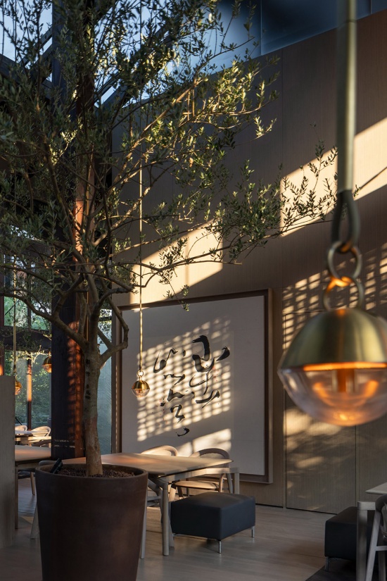xixi xin hotel by domani architectural concepts