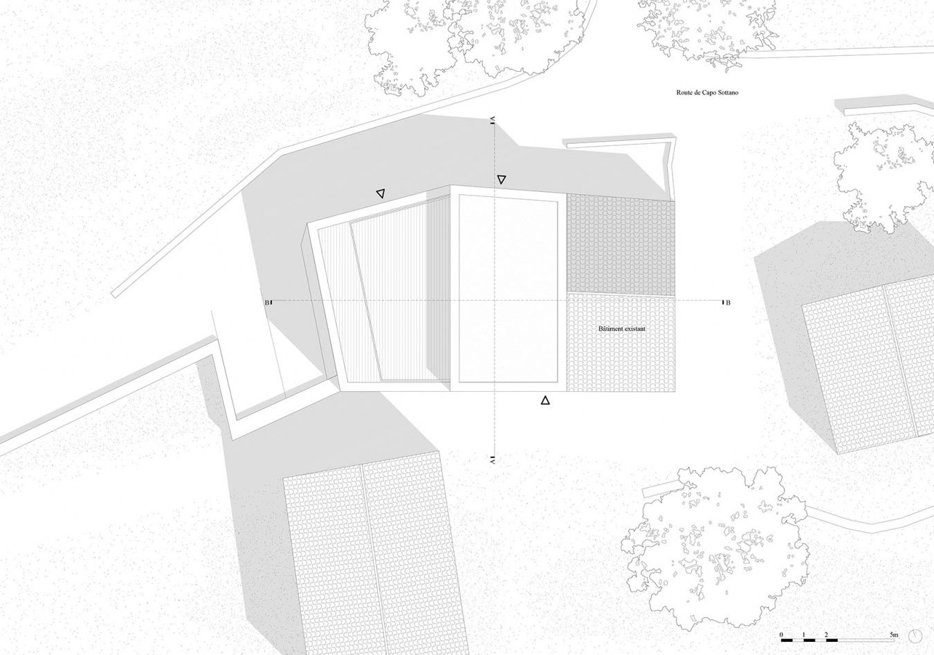 Corsican pine housing