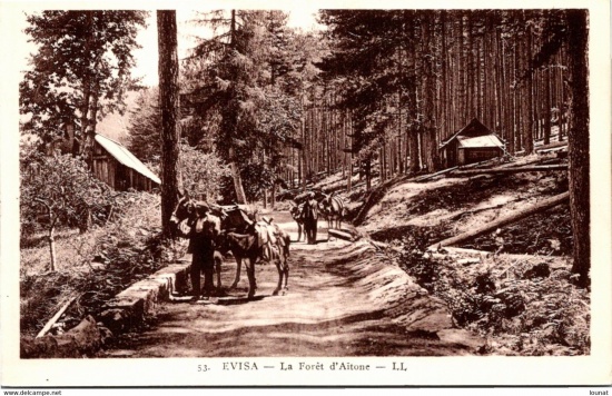 Corsican pine housing