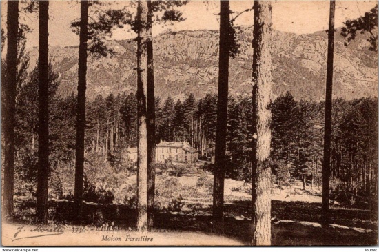 Corsican pine housing