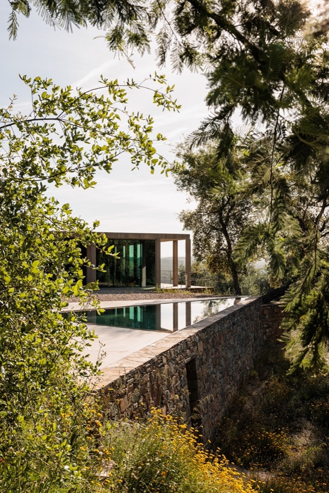 树木掩映下的住宅与泳池 / house and pool framed by trees