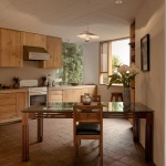 阿莫纳住宅，墨西哥 / COLAR Colectivo de Arquitectura