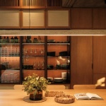 Akina住宅，墨西哥 / Di Frenna Arquitectos