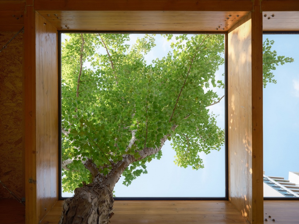 cornori landscape design by zd