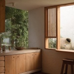 阿莫纳住宅，墨西哥 / COLAR Colectivo de Arquitectura