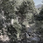 昆嵛山石门里景区雾峰溪岸，烟台 / 大小景观