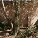 阿莫纳住宅，墨西哥 / COLAR Colectivo de Arquitectura