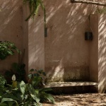 阿莫纳住宅，墨西哥 / COLAR Colectivo de Arquitectura