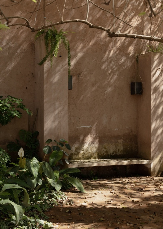 庭院中的植被与抹面墙,courtyard planting and rendered walls