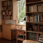 阿莫纳住宅，墨西哥 / COLAR Colectivo de Arquitectura