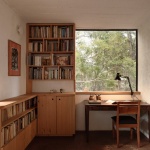 阿莫纳住宅，墨西哥 / COLAR Colectivo de Arquitectura