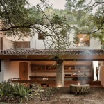 阿莫纳住宅，墨西哥 / COLAR Colectivo de Arquitectura